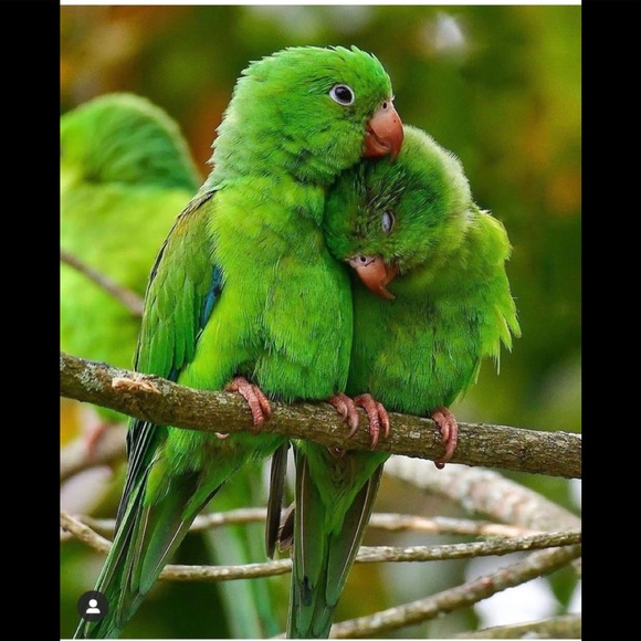 HAPPY VALENTINES DAY❤️ - Picture 6 of 6